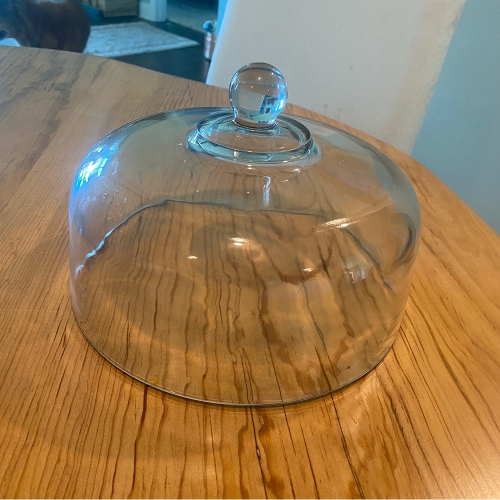 Clear Glass Dome with Knob